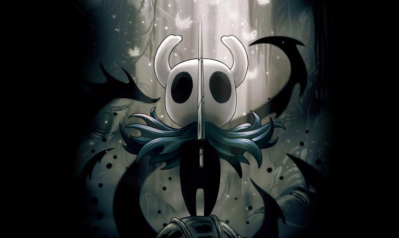 the hollow knight