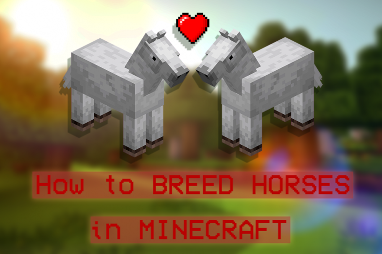 Minecraft: How to Breed Horse | GAMERS DECIDE