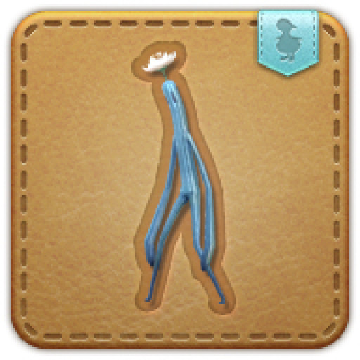 Body Image