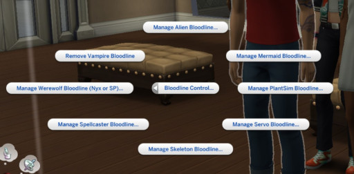 Body Image