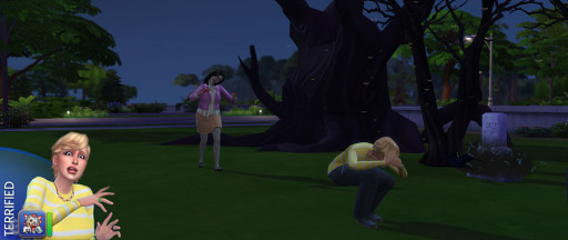 Body Image