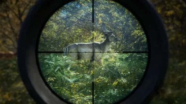 Best Hunting Games