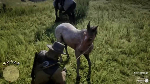 rdr 2 Best Horses Red Dead Redemption 2 Best Horses
