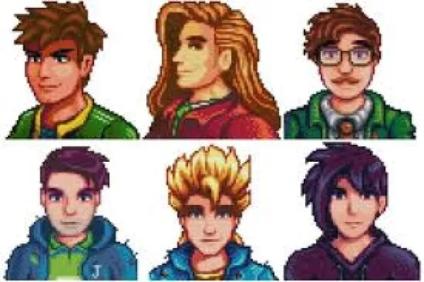 Stardew Valley Husbands Guide Stardew Valley Best Husband