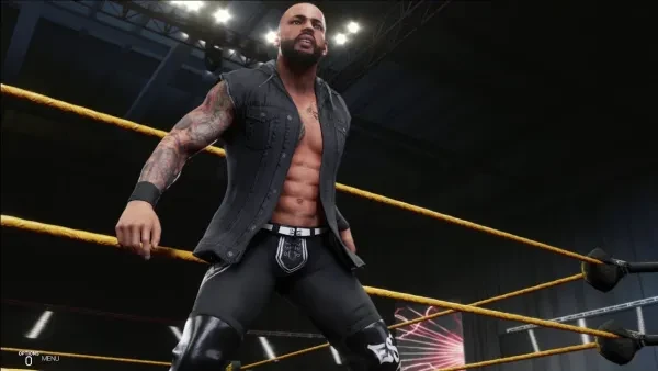 WWE 2K19 Best Movesets