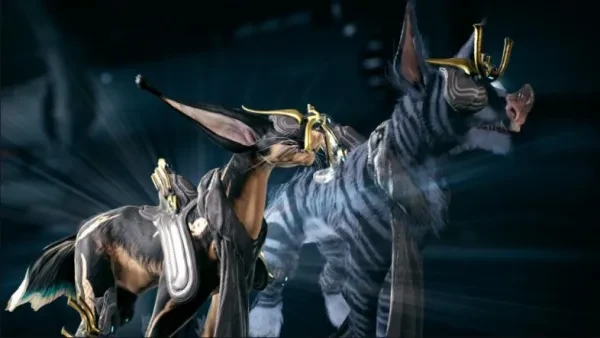 Warframe Best Companion Warframe Best Companion