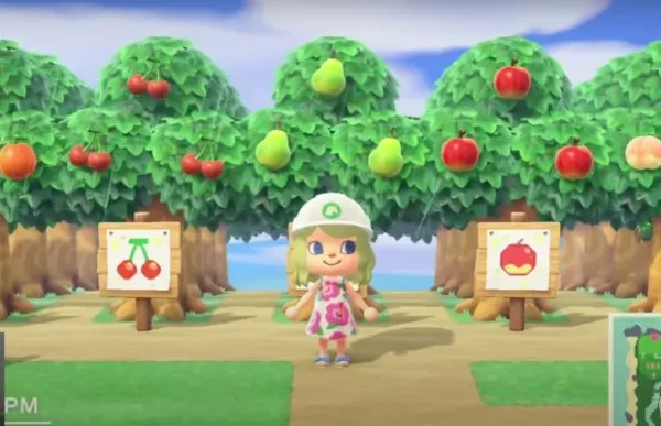 10 Best ACNH Orchards