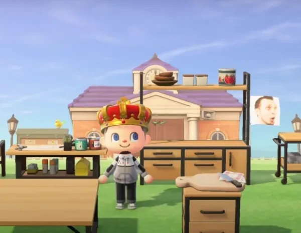 Animal Crossing New Horizons Best Kitchens 5 Best ACNH Kitchens