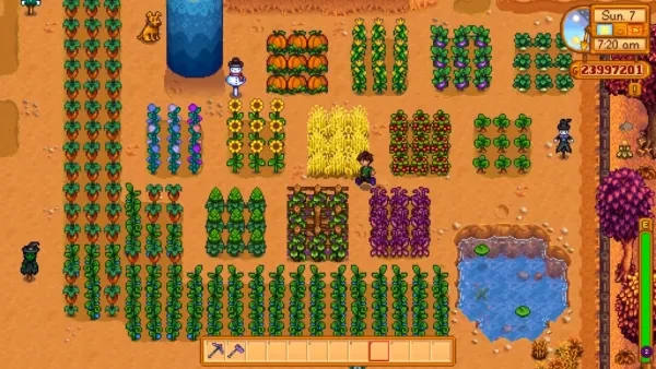 There are plenty of crops to pick between for spring, summer or fall!