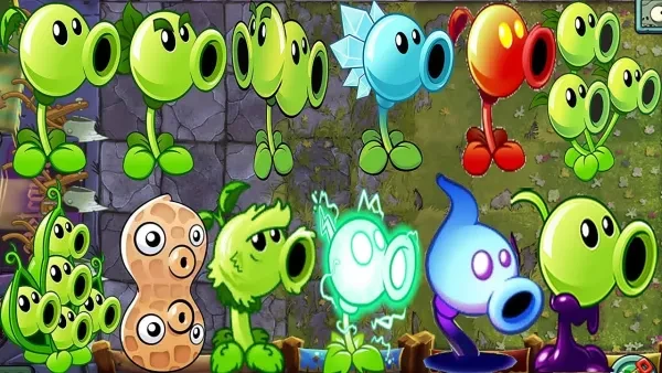 zombie games, plants, setup, plants vs. zombies