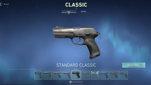 Valorant best classic skin