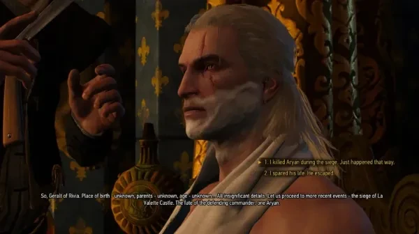 Witcher 3 Most Important Choices