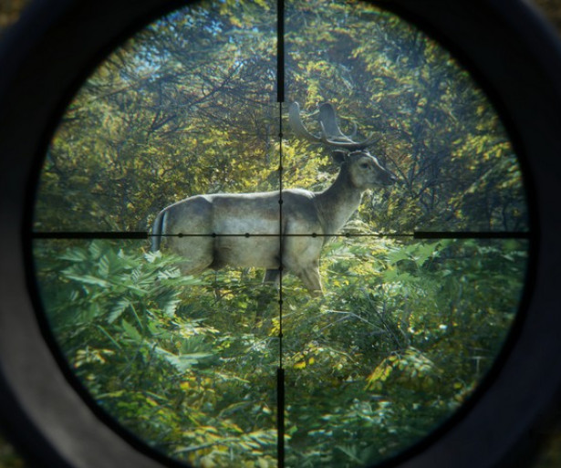 Best Hunting Games