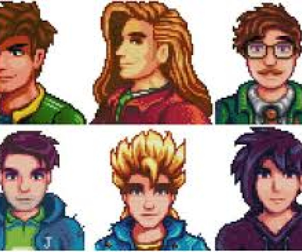 Stardew Valley Best Husband