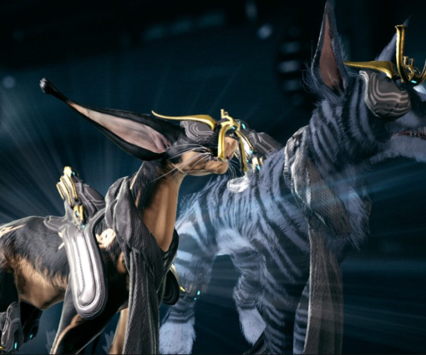 Best warframe companions 2019