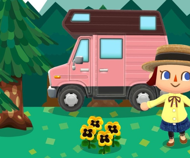 Animal Crossing Pocket Camp Leaf Tickets