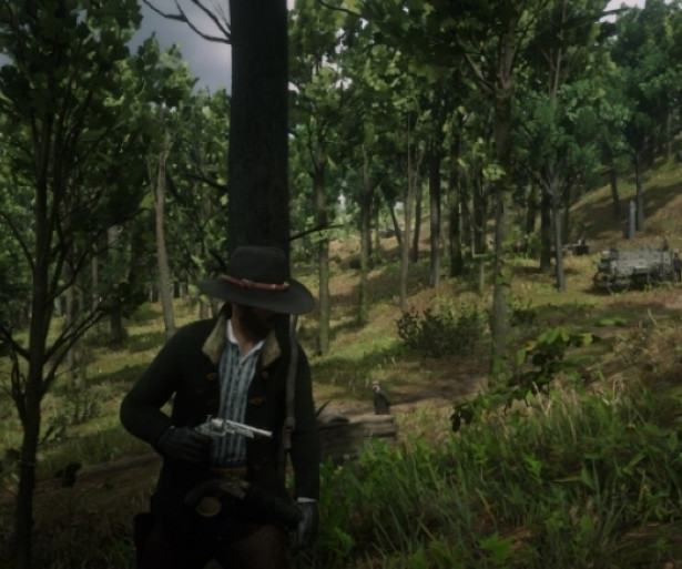 RDO Best Weapons, RDR2 Online Best Weapons, RDO LeMat, RDR2 Online LeMat, RDO Weapons, RDR2 Online Weapons, RDO Guns, RDR2 Oline Guns