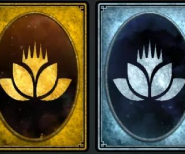 MTGA, Wildcards