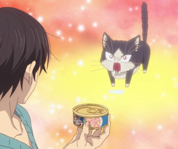 Anime with Cats