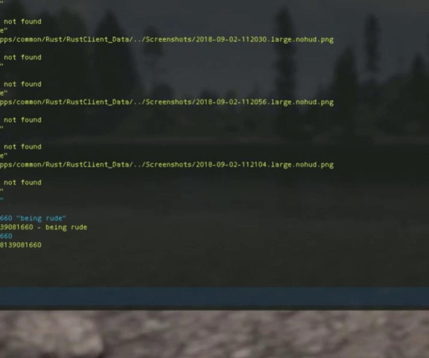 RUST Best Console Commands, If you hit F1 in Rust, you will be greeted with a screen like this.