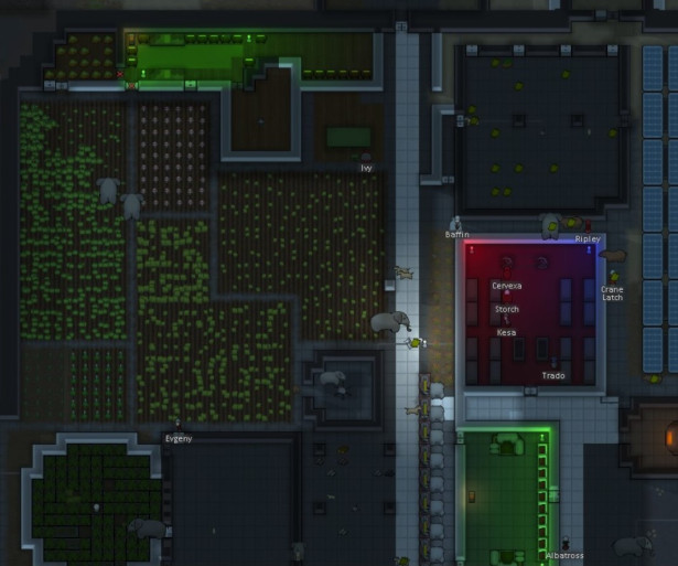 RimWorld Best Crops