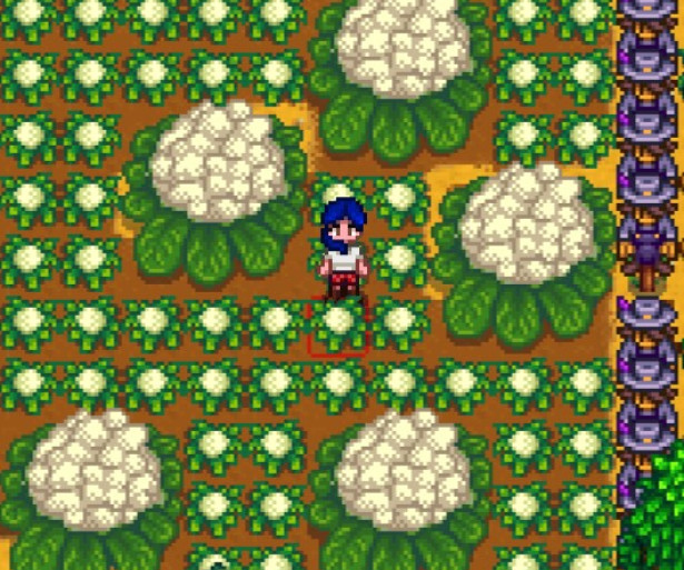 Stardew Valley Best Crops