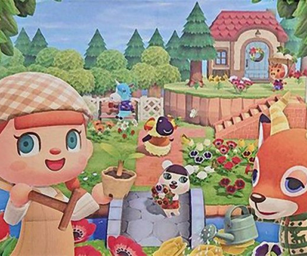 Animal Crossing: New Horizons Best Friends