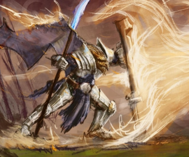Best races for Paladin, D&D, DnD