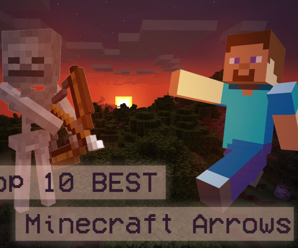 Thumbnail of Steve from Minecraft and a skeleton over a sunset