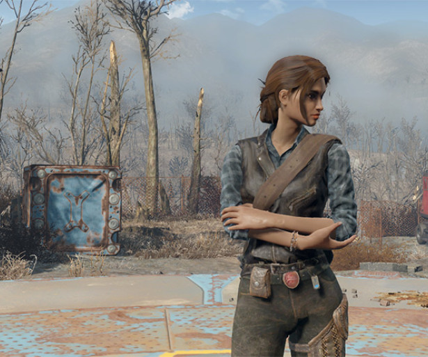 Fallout 4 Best Companion Mods