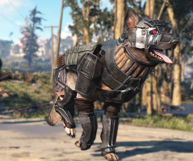 Fallout 4 Best Dog Armor