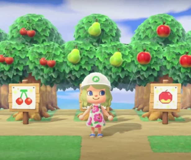 10 Best ACNH Orchards