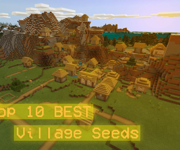 Thumbnail of a plains village in Minecraft