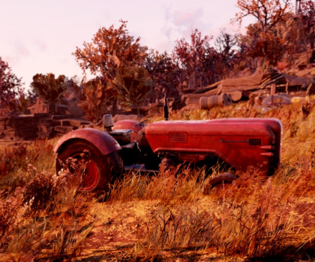 Farms are popular for cooking boost