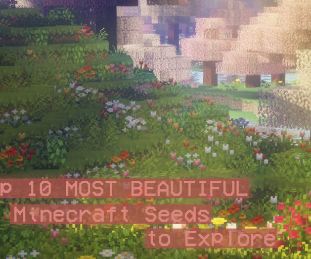 Thumbnail of a meadow in Minecraft