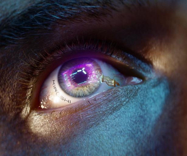 Cyberpunk 2077 Best Optics In The Whole Game
