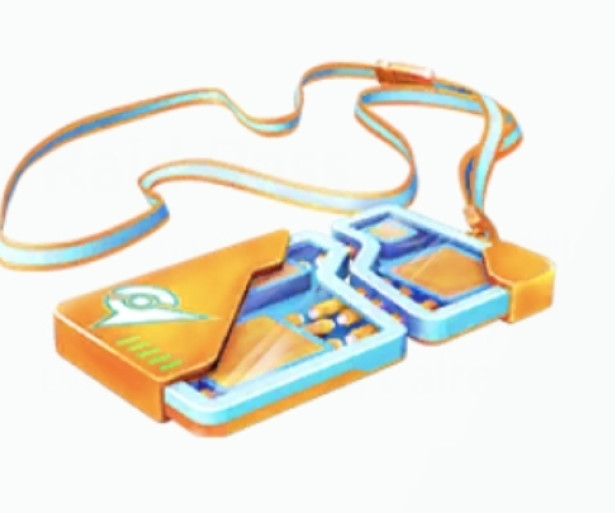 What's a raid pass, why is a raid pass used for