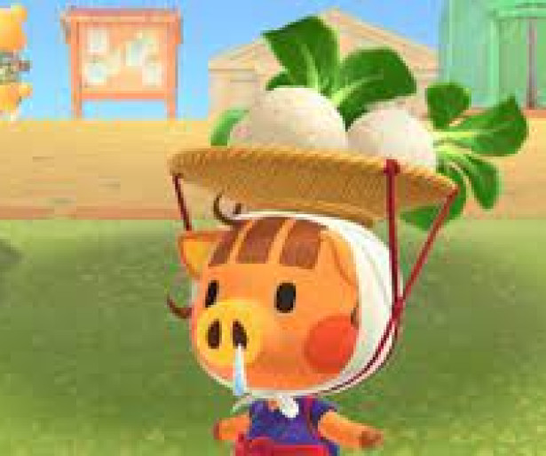 daisy mae, turnips, animal crossing, animal crossing: new horizons
