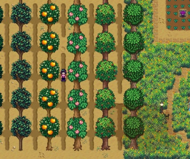 [Top 8] Stardew Valley Best Fruit Trees