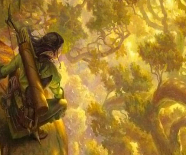 Vigilant druid