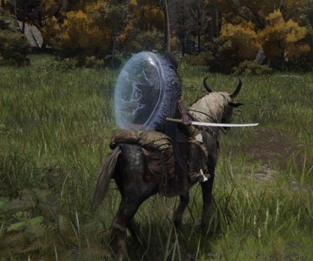 Elden Ring best shields