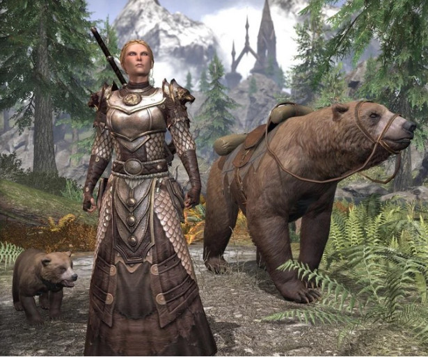 best warden builds eso, best open world game, 