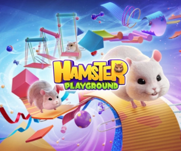 Race and Raise Hamsters In 'Hamster Playground' Hamster Simulator