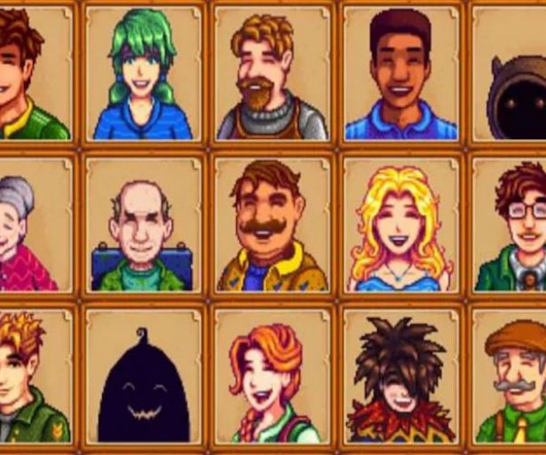 Panels of Stardew Valley NPCs.