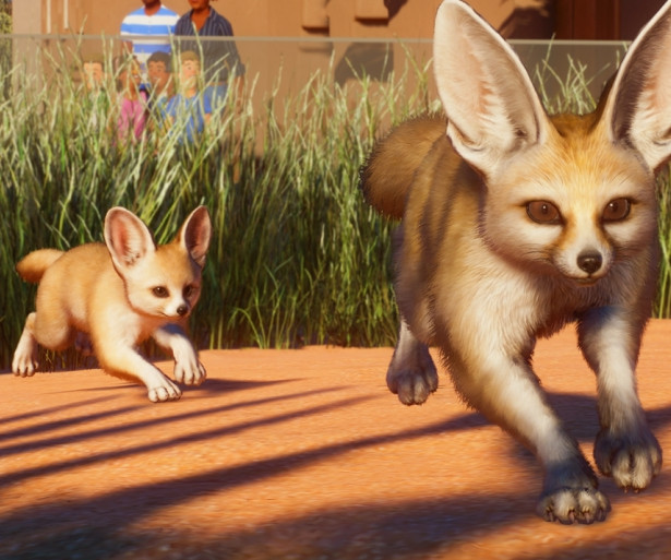 [Top 10] Planet Zoo Best Starting Animals