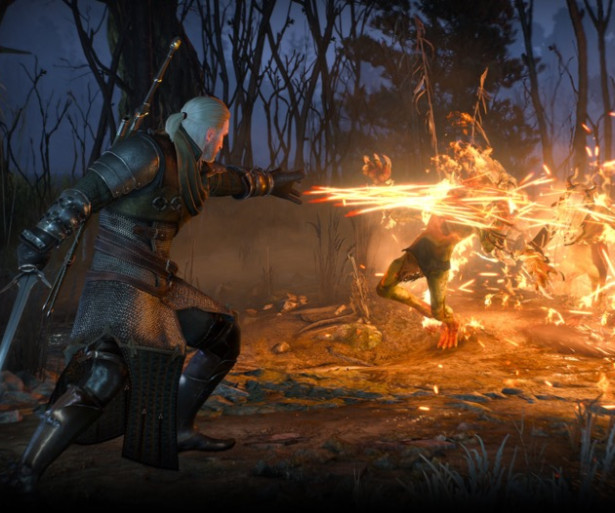 The Witcher 3, combat mods