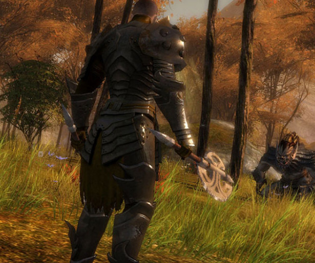 Axes in Guild Wars 2 are lethal weapons in the right hands and these specific ones make those wielding them look good.