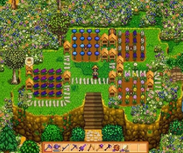Best honey in Stardew Valley