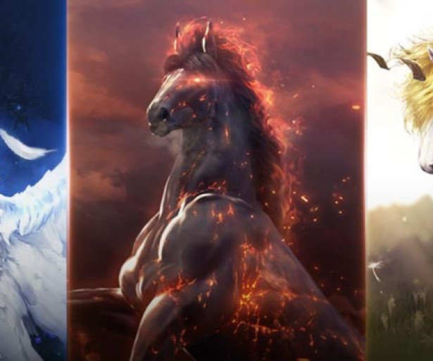  Black Desert Dream Horses 