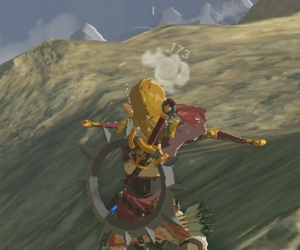 Breath of The Wild Best Bows